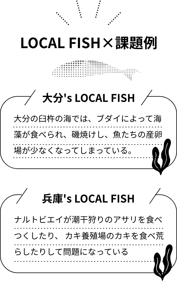 LOCAL FISH 課題例 大分's LOCAL FISH 大分の臼杵の海では、ブダイによって海藻が食べられ、磯焼けし、魚たちの産卵場が少なくなってしまっている。 兵庫's LOCAL FISH ナルトビエイが潮干狩りのアサリを食べつくしたり、カキ養殖場のカキを食べ荒らしたりして問題になっている